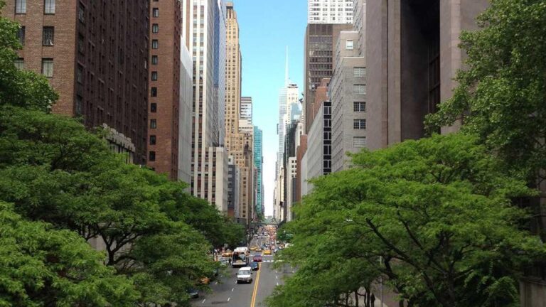 Is There A Tamil Interface For The 99Exch Betting App Tamil Edition?