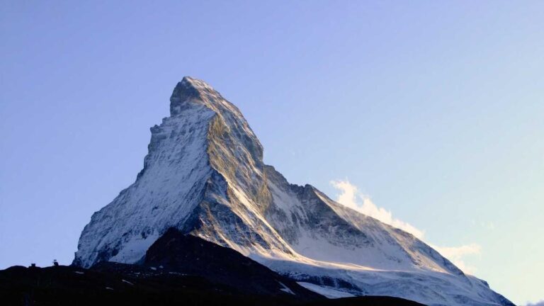 Why Do Users Prefer The Old Version Of Cricbet99 Apk?